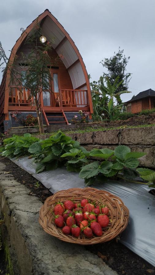 Family Rinjani Bungalow Sajang ภายนอก รูปภาพ