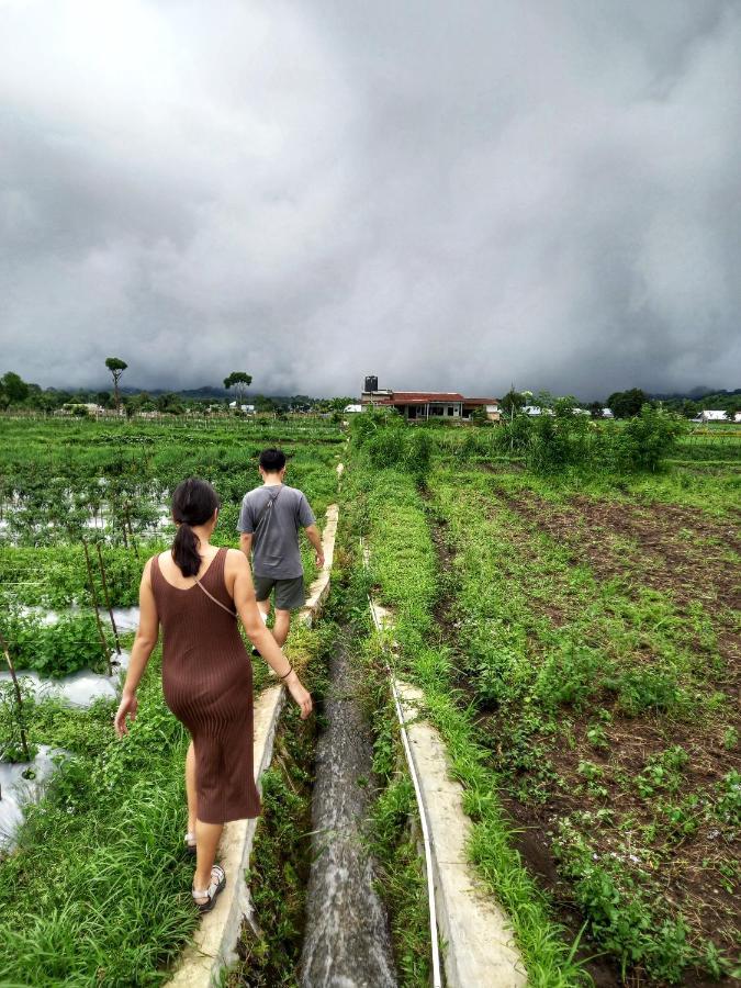 Family Rinjani Bungalow Sajang ภายนอก รูปภาพ