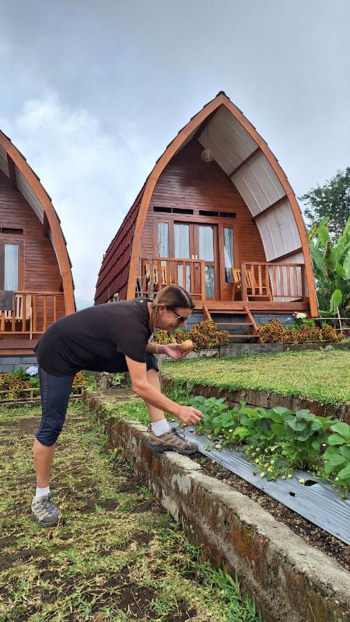 Family Rinjani Bungalow Sajang ภายนอก รูปภาพ