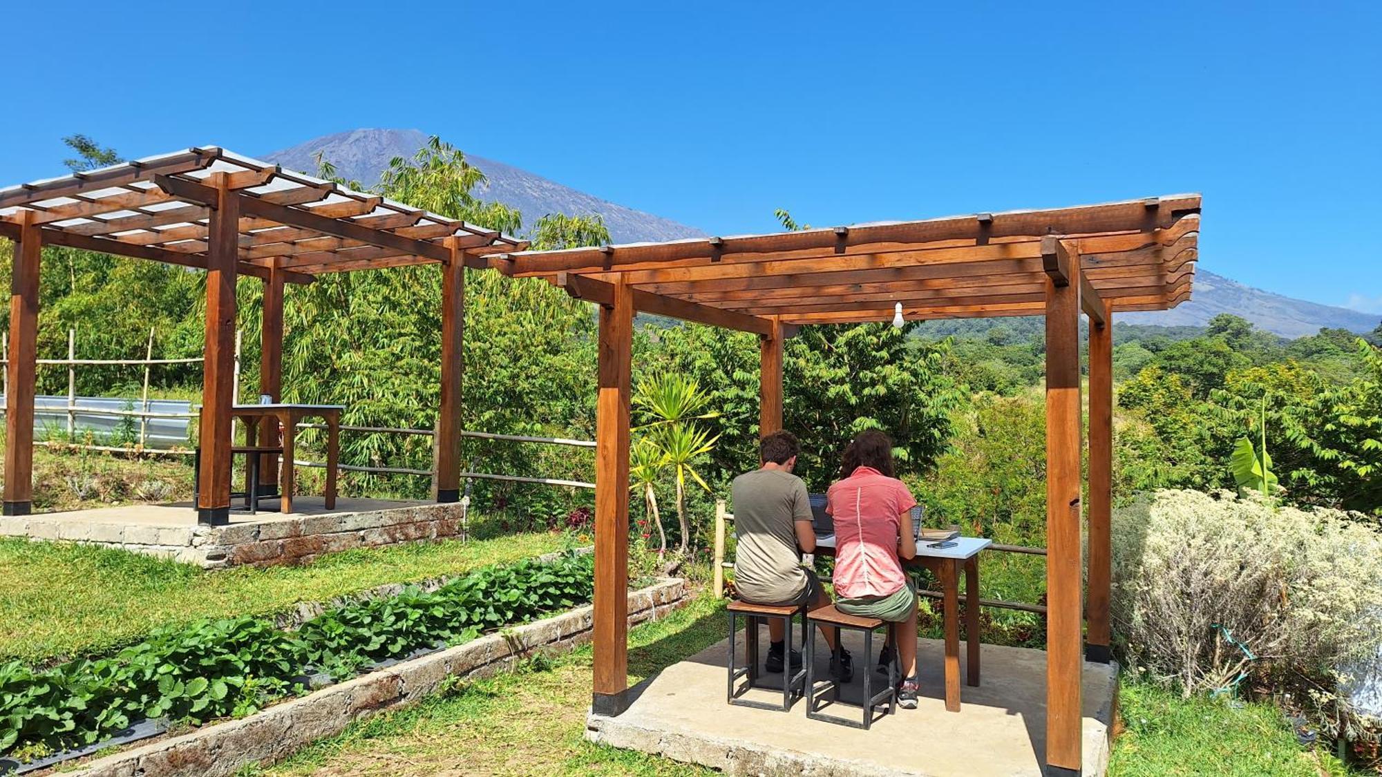 Family Rinjani Bungalow Sajang ภายนอก รูปภาพ